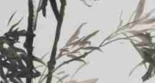 维护宪法 | JYPC发表100篇文章揭露人社部腐败官员